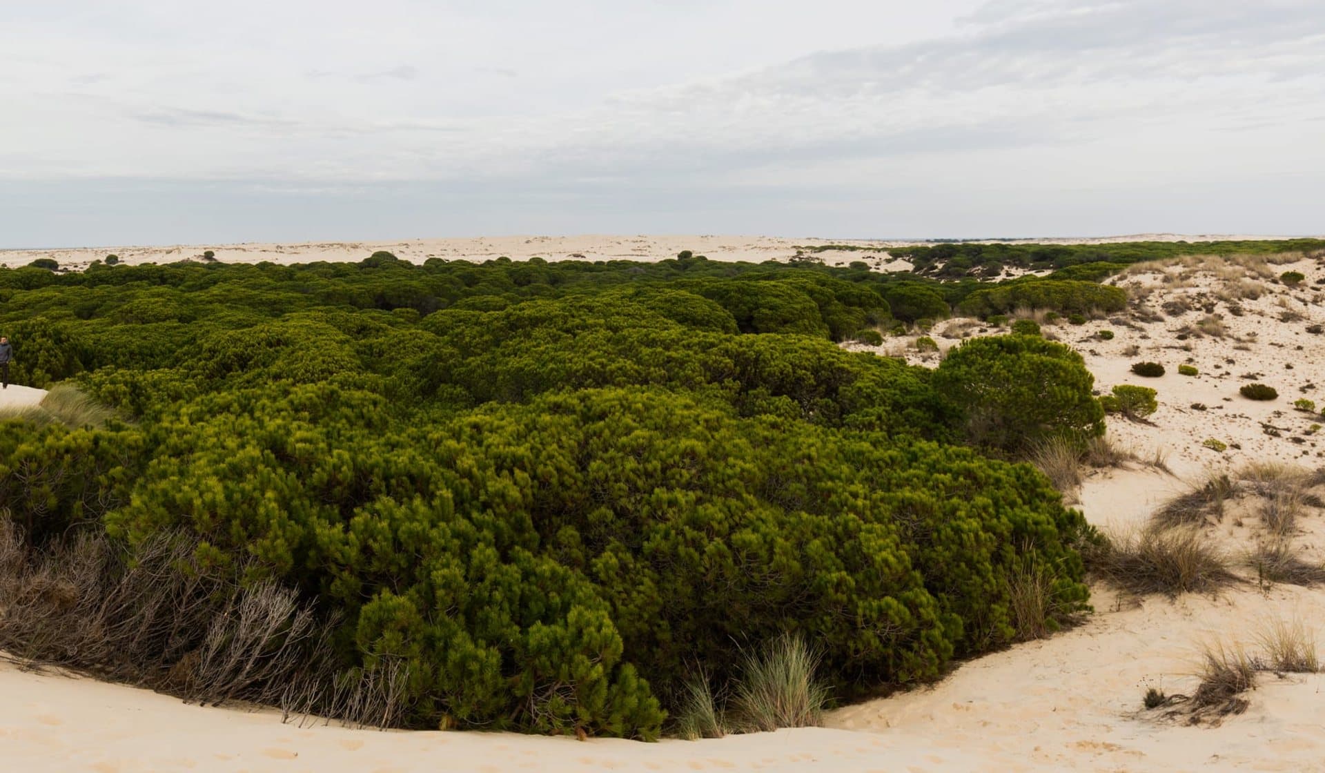 Dunas y paisaje natural de la costa de Huelva