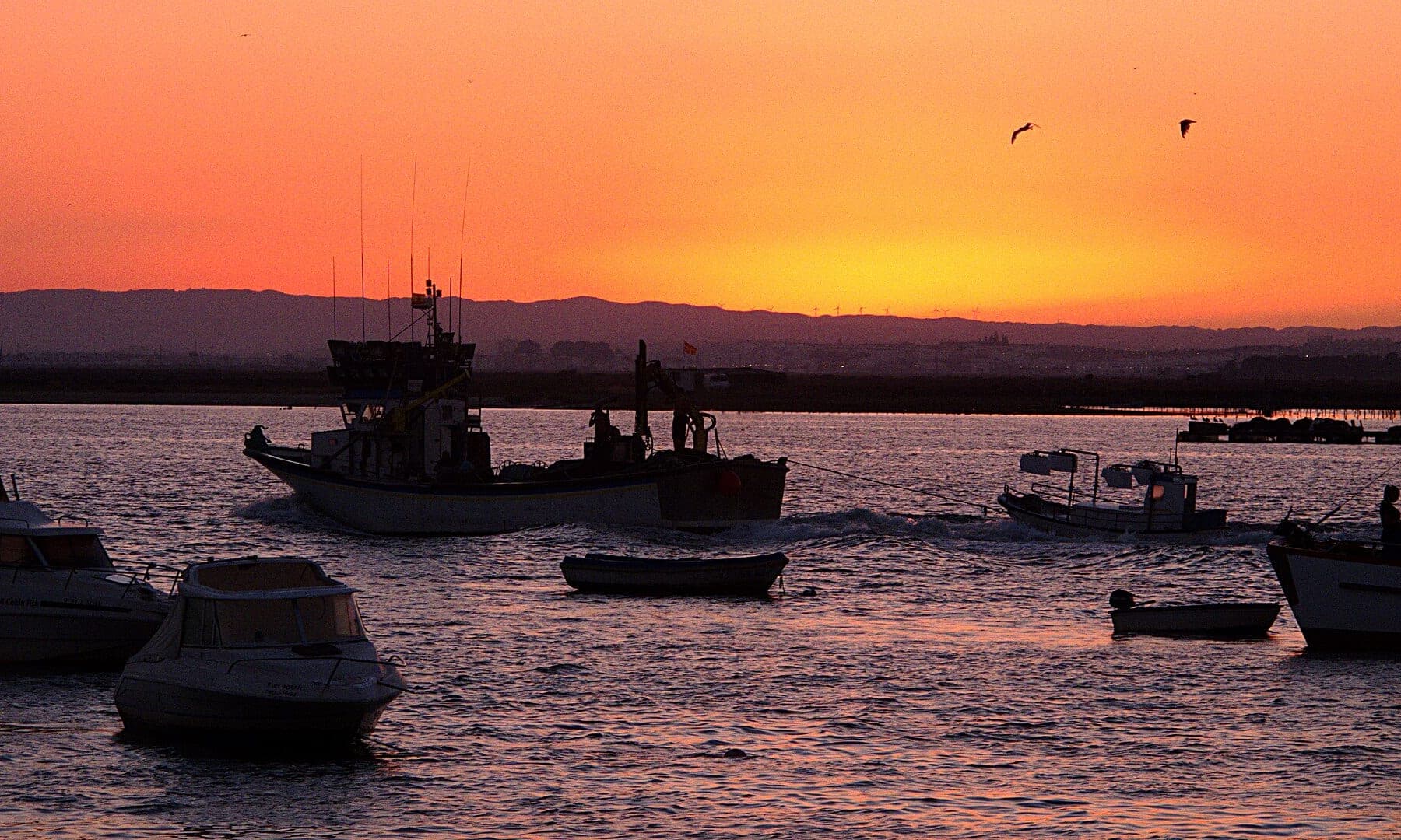 Experiencias en Huelva